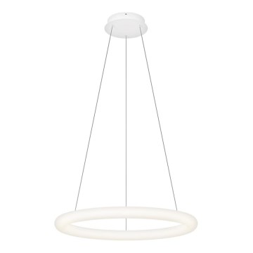 Top Light - RINGO dimbare pendellamp aan kabel LED/40W/230V 3000-6500K wit + afstandsbediening
