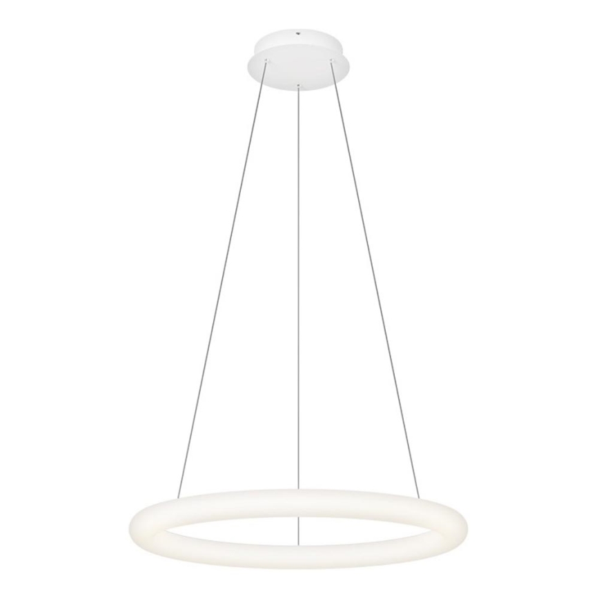 Top Light - RINGO dimbare pendellamp aan kabel LED/40W/230V 3000-6500K wit + afstandsbediening