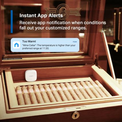 TP-Link - Slimme sensor voor temperatuur- en luchtvochtigheidsmeting 1xCR2450