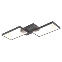 Trio - Dimbare LED Hanglamp voor Oppervlak Montage CAFU 2xLED/7W/230V