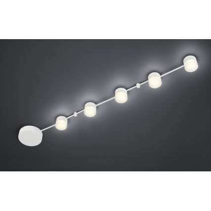 Trio - Dimbare LED plafondlamp  NASHVILLE 5xLED/3W/230V