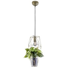 Trio - Hanglamp aan een koord PLANT 1xE27/10W/230V