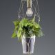 Trio - Hanglamp aan een koord PLANT 1xE27/10W/230V