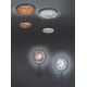 TRIO - LED Hanglamp aan koord dimbaar ZENIT 1xLED/19W/230V