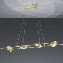 Trio - LED Kroonluchter aan koord LEICESTER 8xLED/4W/230V