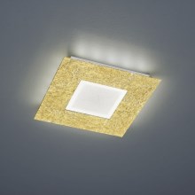 Trio - LED Plafondlamp CHIROS LED/12W/230V + LED/3,5W