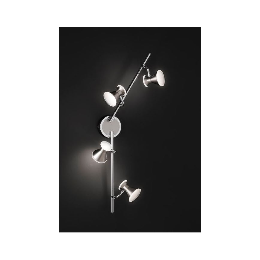 Trio - LED Spot DUKE 4xLED/4,3W/230V