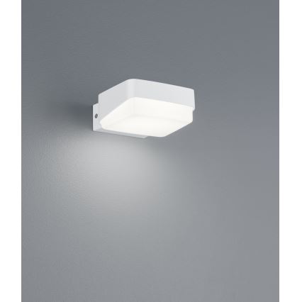 Trio - LED Wandlamp voor buiten JUBA LED/10W/230V IP65