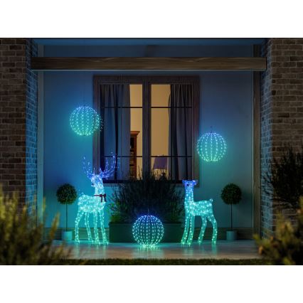 Twinkly - LED RGBW dimbaar buiten kerstrendier REINGEERS 250xLED IP44 Wi-Fi