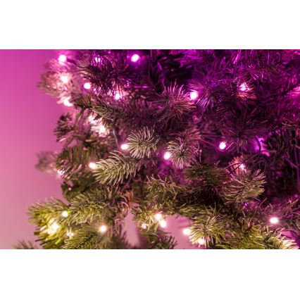 Twinkly - LED RGB Dimbaar Kerstkrans 50xLED diameter 60 cm Wi-Fi