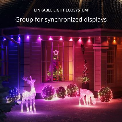 Twinkly - LED RGBW Dimbaar buitenshuis Kerstmis rendier REINGEERS 240xLED IP44 Wi-Fi