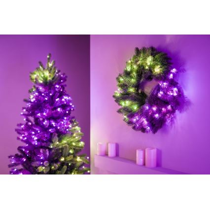 Twinkly - LED RGB Dimbaar Kerstkrans PRE-LIT WREATH 50xLED diameter 61cm Wi-Fi