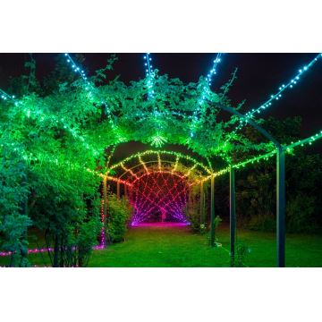 Twinkly - LED RGB Dimbaar buitenshuis Kerst lichtsnoer STRINGS 100xLED 11,5m IP44 Wi-Fi