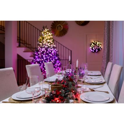 Twinkly - LED RGBW Dimbaar buitenshuis Kerst lichtsnoer STRINGS 250xLED 23,5m IP44 Wi-Fi