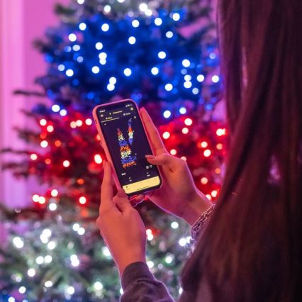 Twinkly - LED RGBW Dimbaar buitenshuis Kerst lichtsnoer STRINGS 250xLED 23,5m IP44 Wi-Fi