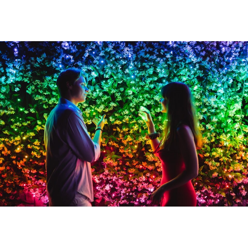 Twinkly - LED RGBW Dimbaar buitenshuis Kerst lichtsnoer STRINGS 600xLED 51,5m IP44 Wi-Fi