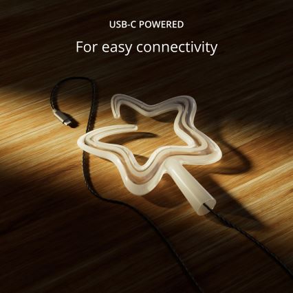 Twinkly - LED RGB Dimbaar Kerstmis ster TREE TOPPER 76xLED USB Wi-Fi