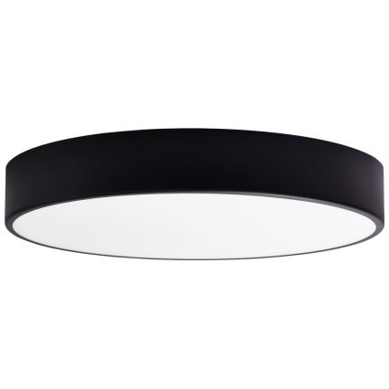 Vervangend glas voor plafondlamp CLEO 50 cm glas