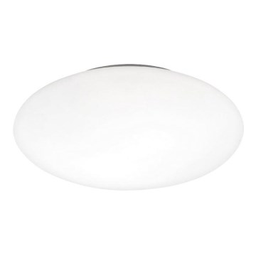 Vervangend glas voor plafondlamp VALEO diameter 26 cm