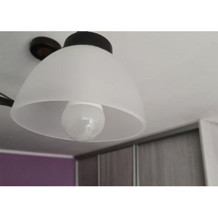Vervangend opaalglas voor kroonluchter E27, Ø 18 cm