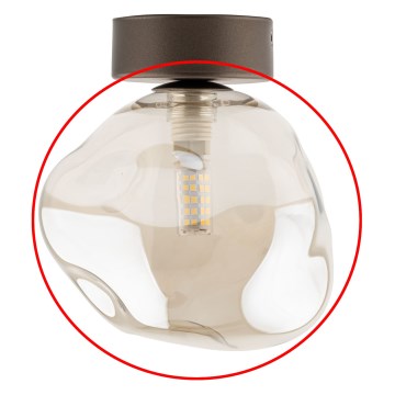 Vervangingsglas voor kroonluchter en wandlamp LAVA G9, rookbeige