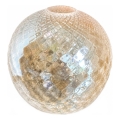 Vervangingsglas voor tafellamp E27, Ø 17 cm, smoky beige