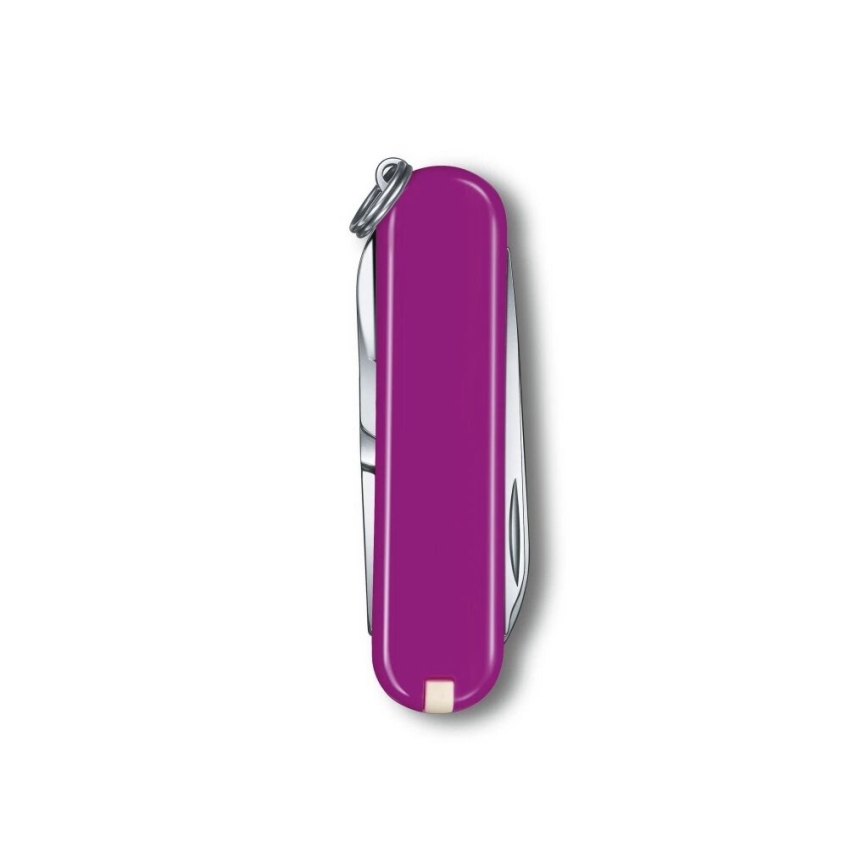 Victorinox - Multifunctioneel zakmes CLASSIC SD 5,8 cm/7 Functies paars