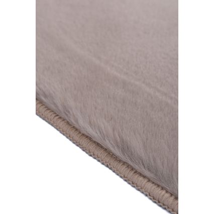 Vloerkleed RABBIT-FOX 60x90 cm beige