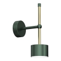 Wand Lamp ARENA 1xGX53/11W/230V groen/goud