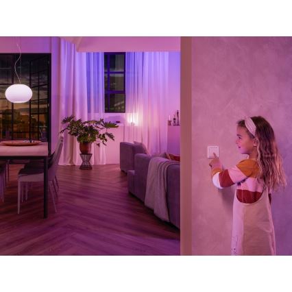 Wand Schakelaar Module Philips Hue SWITCH