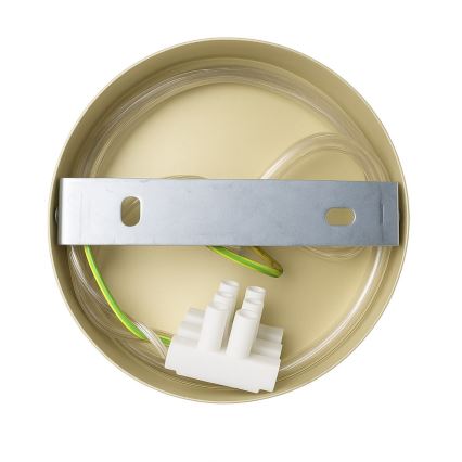 Wandlamp CAPITAL 1xGX53/15W/230V goudkleurig