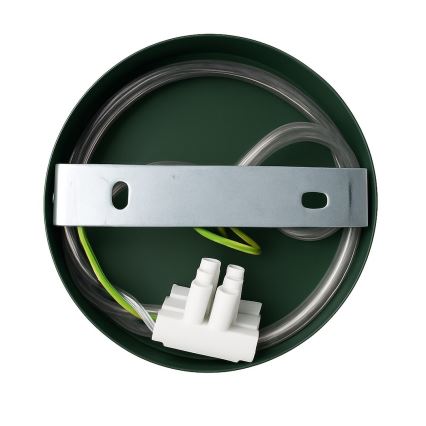 Wandlamp CAPITAL 1xGX53/15W/230V groen