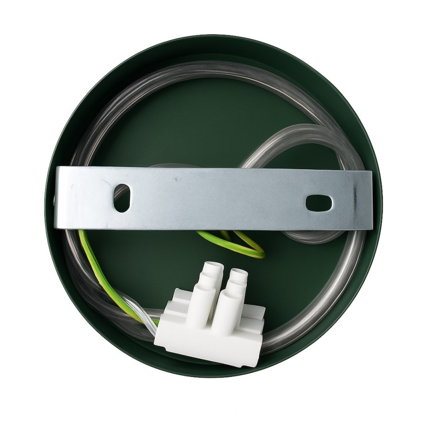 Wandlamp CAPITAL 1xGX53/15W/230V groen