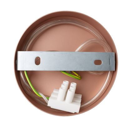 Wandlamp CAPITAL 1xGX53/15W/230V roségoud