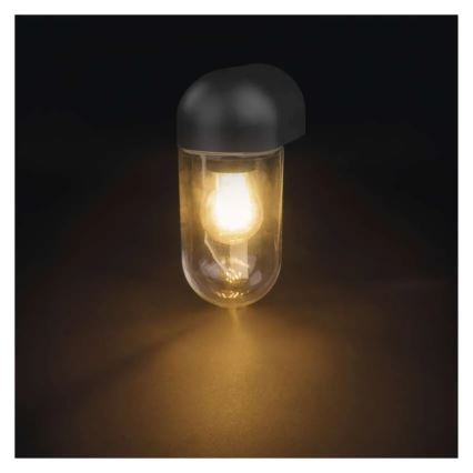 Wandlamp voor buiten CASSIA 1xE27/15W/230V IP44