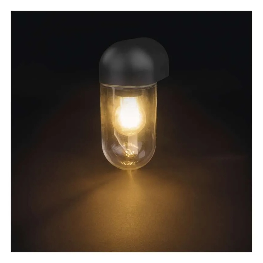 Wandlamp voor buiten CASSIA 1xE27/15W/230V IP44