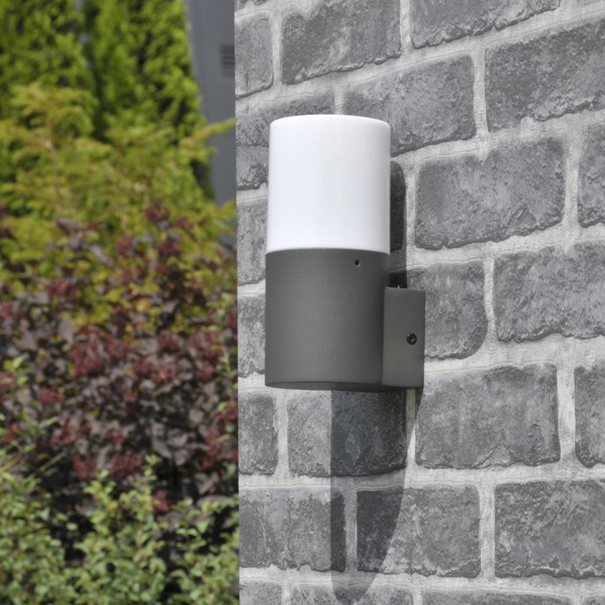 Wandlamp voor buiten DALLAS 1xE27/12W/230V IP44 antraciet
