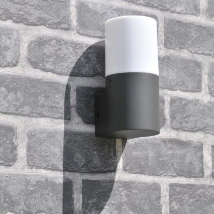 Wandlamp voor buiten DALLAS 1xE27/12W/230V IP44 antraciet