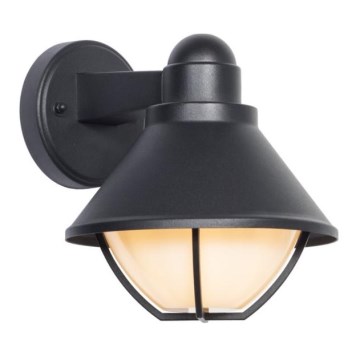 Wandlamp voor buiten EDINA 1xE27/60W/230V IP44 zwart