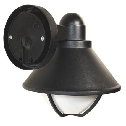 Wandlamp voor buiten EDINA 1xE27/60W/230V IP44 zwart