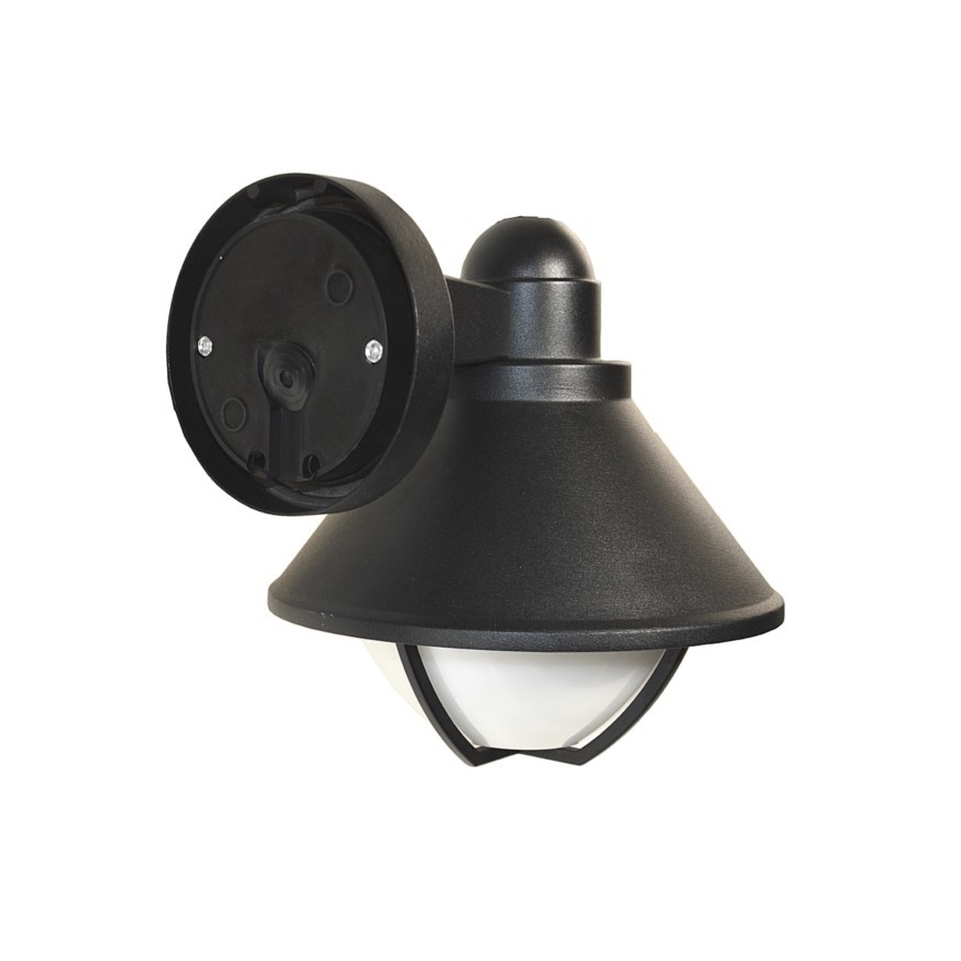 Wandlamp voor buiten EDINA 1xE27/60W/230V IP44 zwart