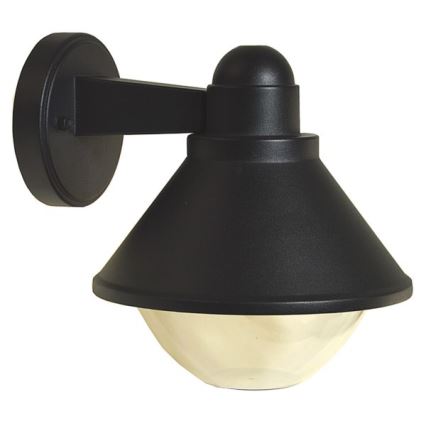 Wandlamp voor buiten ELGIN 1xE27/60W/230V IP44 zwart