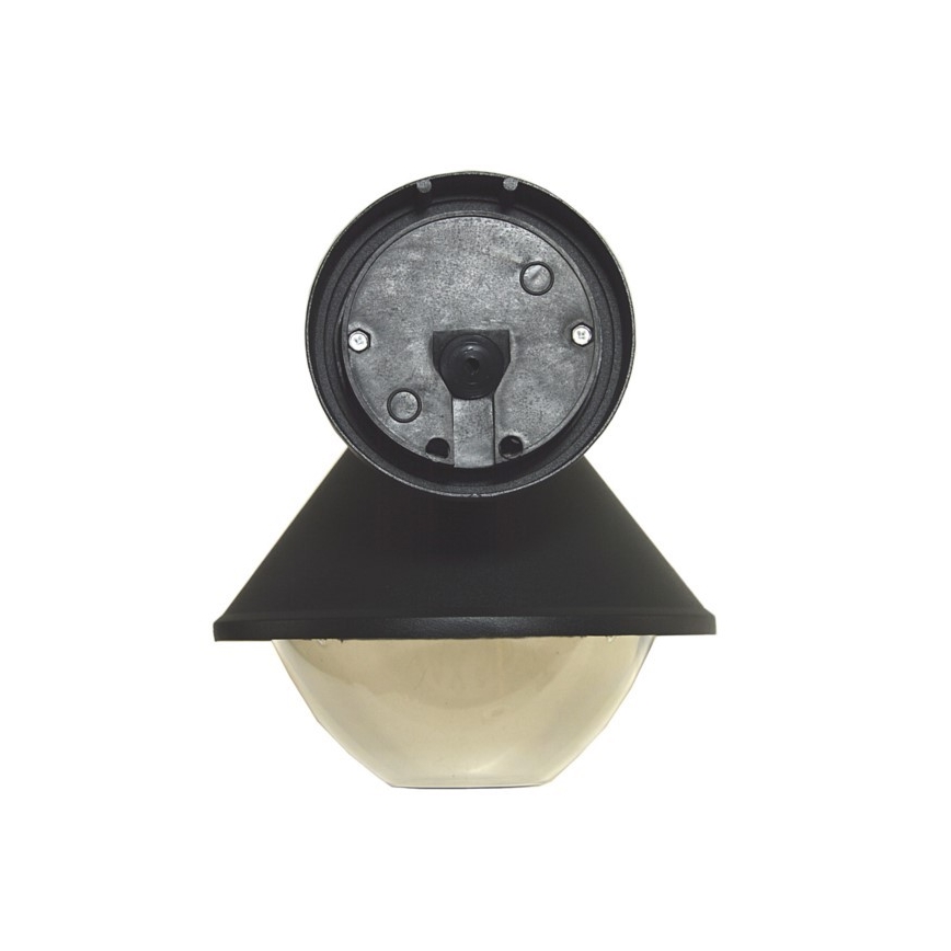 Wandlamp voor buiten ELGIN 1xE27/60W/230V IP44 zwart