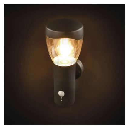 Wandlamp voor buiten met sensor ARTEO 1xE27/15W/230V IP44