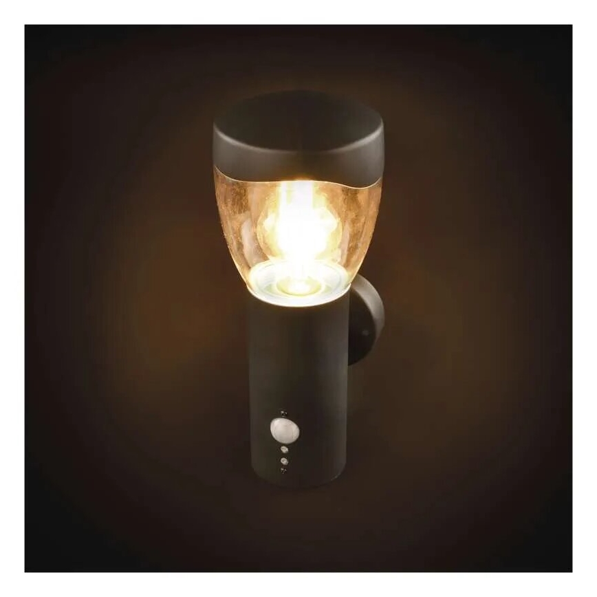 Wandlamp voor buiten met sensor ARTEO 1xE27/15W/230V IP44