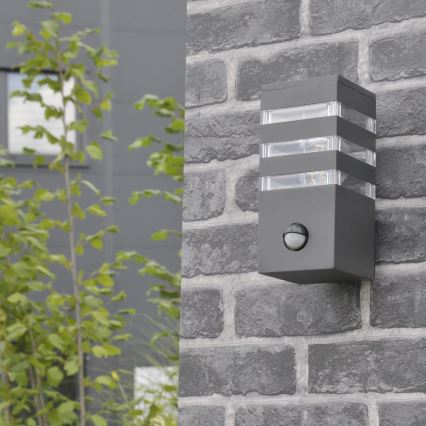 Wandlamp voor buiten met sensor TEKSAS 1xE27/12W/230V IP44 antraciet