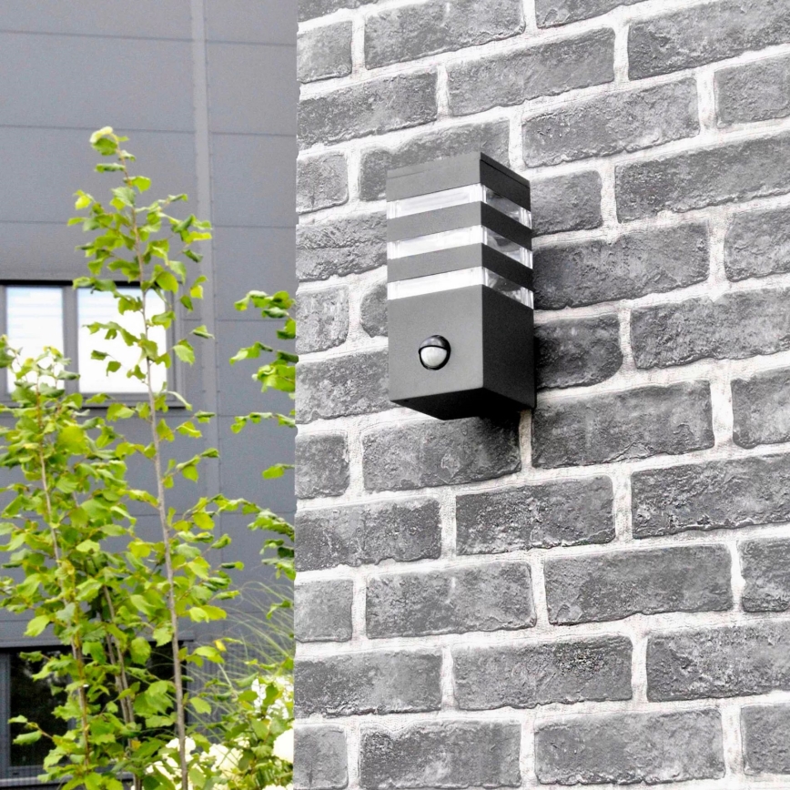 Wandlamp voor buiten met sensor TEKSAS 1xE27/12W/230V IP44 antraciet
