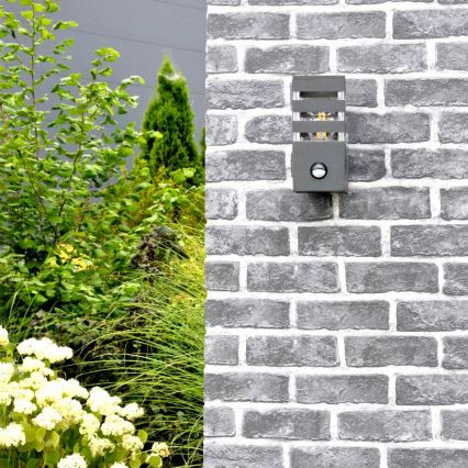 Wandlamp voor buiten met sensor TEKSAS 1xE27/12W/230V IP44 antraciet