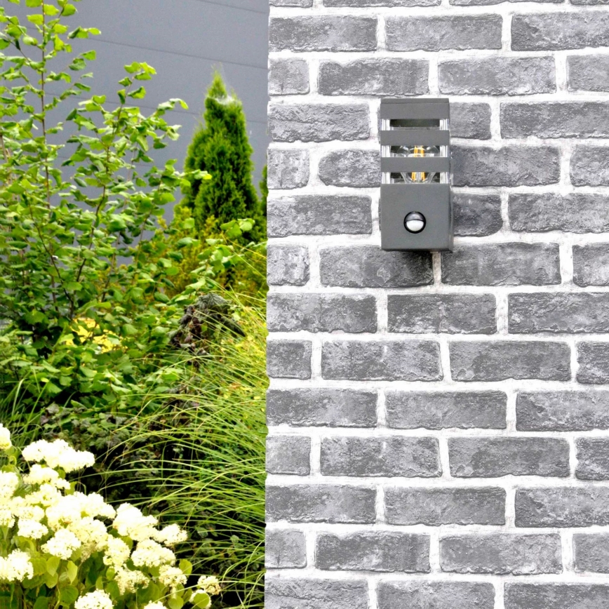 Wandlamp voor buiten met sensor TEKSAS 1xE27/12W/230V IP44 antraciet