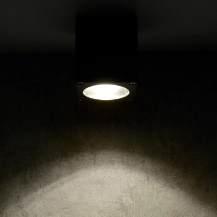 Wandlamp voor buiten MORRIS 1xGU10/35W/230V IP54
